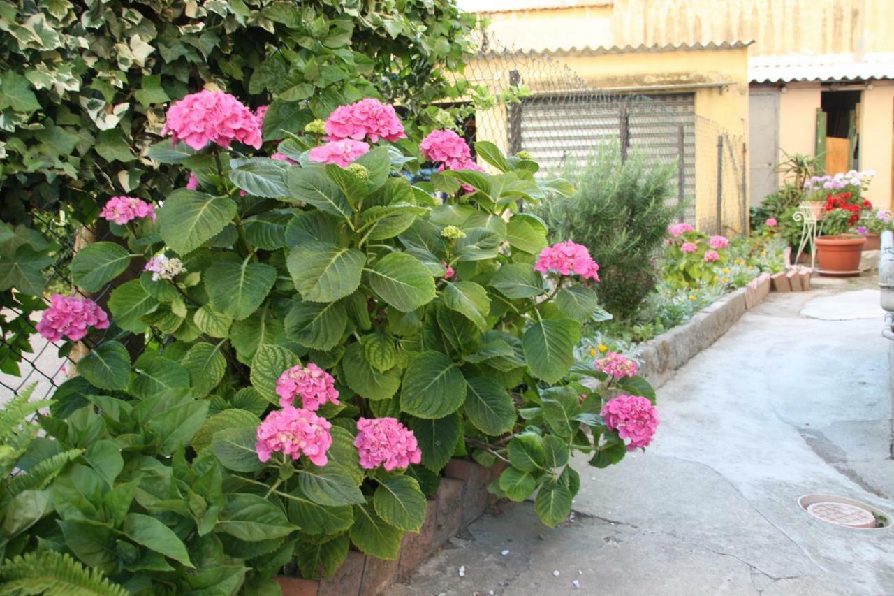 Bed and Breakfast Pisa Town Экстерьер фото